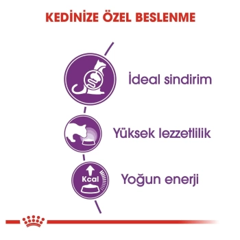 Royal Canin Sensible33 Sindirim Sistemi Destekleyici Kedi Maması 2 Kg