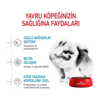 Royal Canin Mini İndoor Puppy Küçük Irk Köpek Maması 1.5 Kg