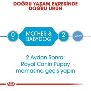 Royal Canin Starter Mousse Yavru Köpek Konservesi 195 Gr