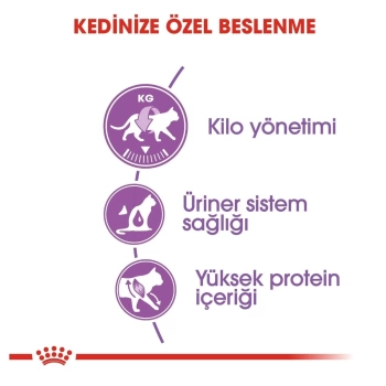 Royal Canin Sterilised 37 Kısırlaştırılmış Kedi Maması 2 Kg