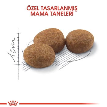 Royal Canin Sterilised37 Kısırlaştırılmış Kuru Kedi Maması 15 Kg