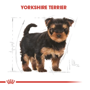 Royal Canin Yorkshire Terrier Yavru Kuru Köpek Maması 1,5 kg