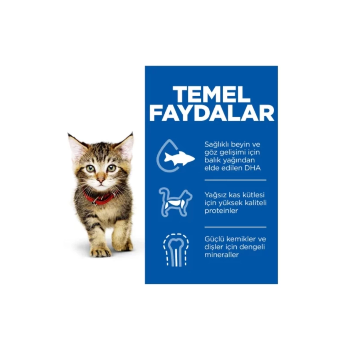 Hills Kitten Healthy Development Tavuklu Yavru Kedi Maması 1.5 Kg