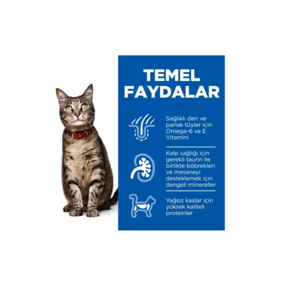 Hills Optimal Care Ton Balıklı Yetişkin Kedi Maması 1,5 Kg