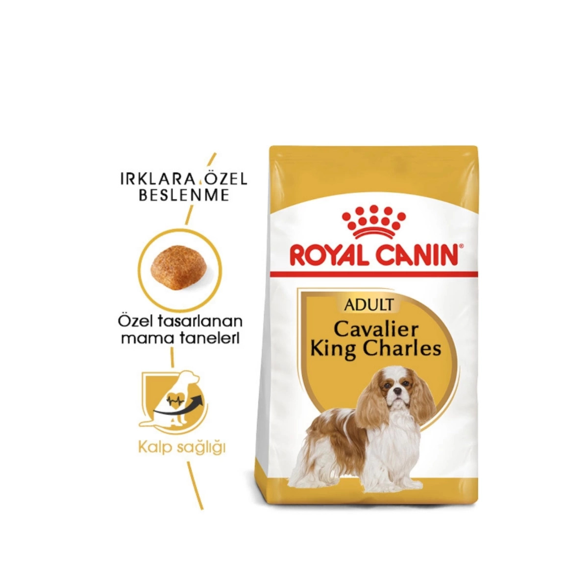 Royal Canin Cavalier King Charles Yetişkin Köpek Maması 3 kg