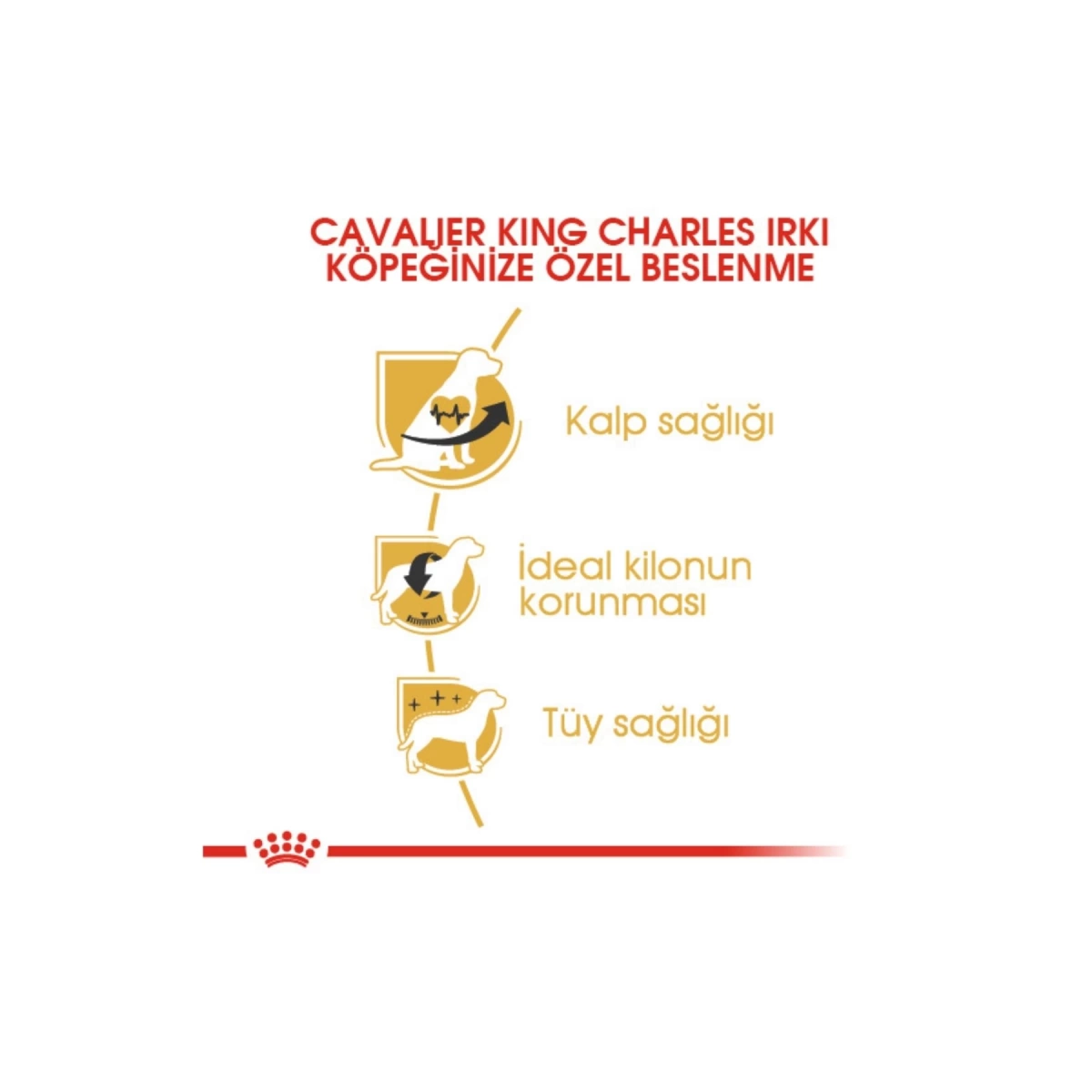 Royal Canin Cavalier King Charles Yetişkin Köpek Maması 3 kg