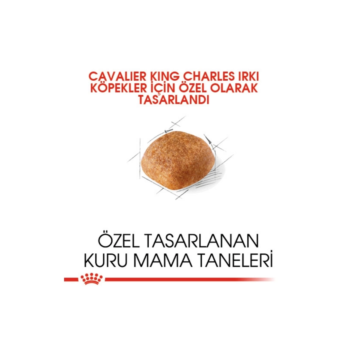 Royal Canin Cavalier King Charles Yetişkin Köpek Maması 3 kg