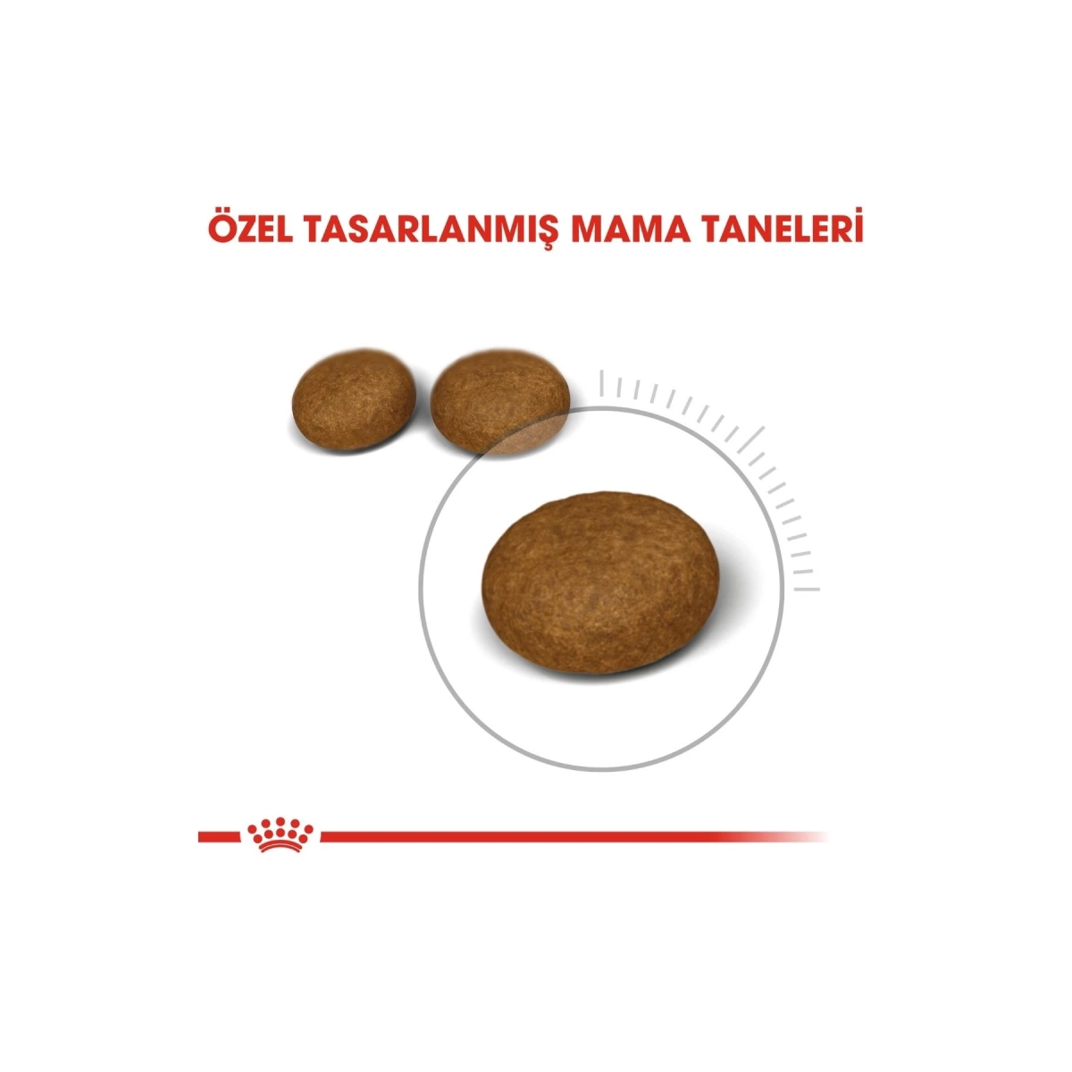 Royal Canin Hair&Skin Hassas Tüylü Kedi Maması 2 Kg