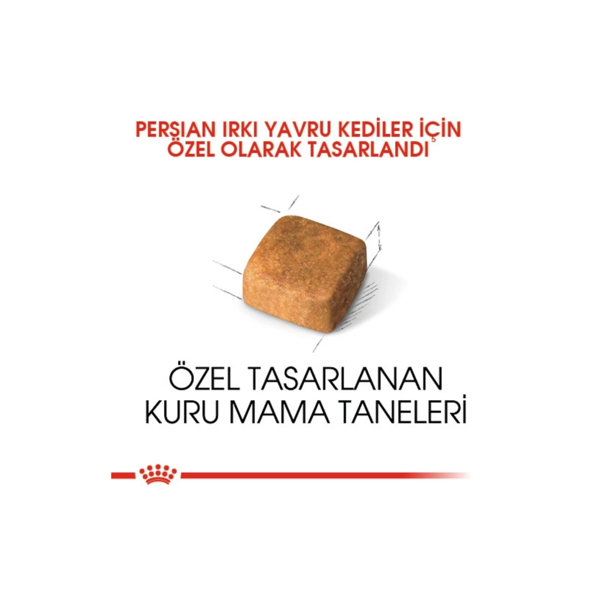 Royal Canin Kitten Persian Yavru Kedi Maması 2 kg