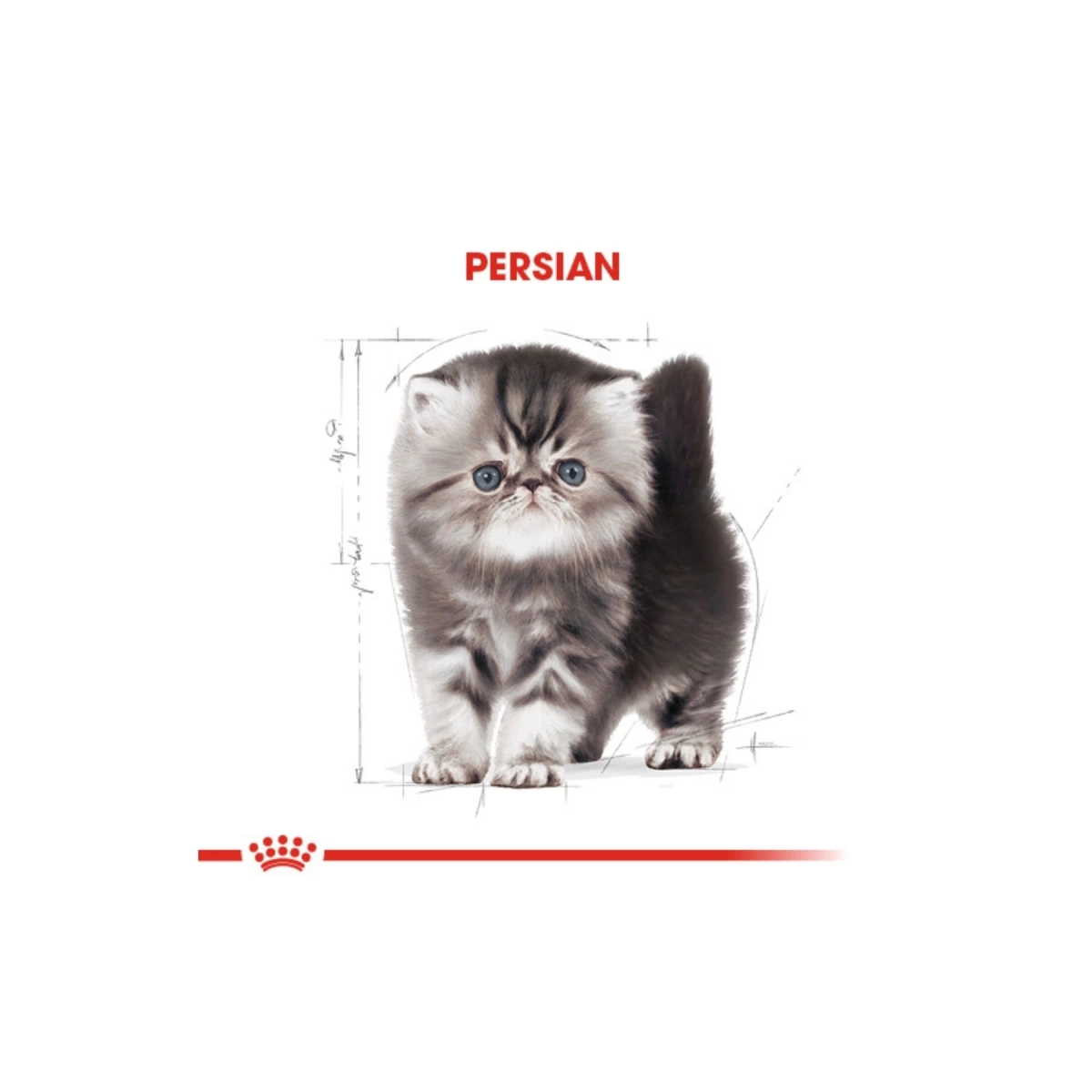 Royal Canin Kitten Persian Yavru Kedi Maması 2 kg
