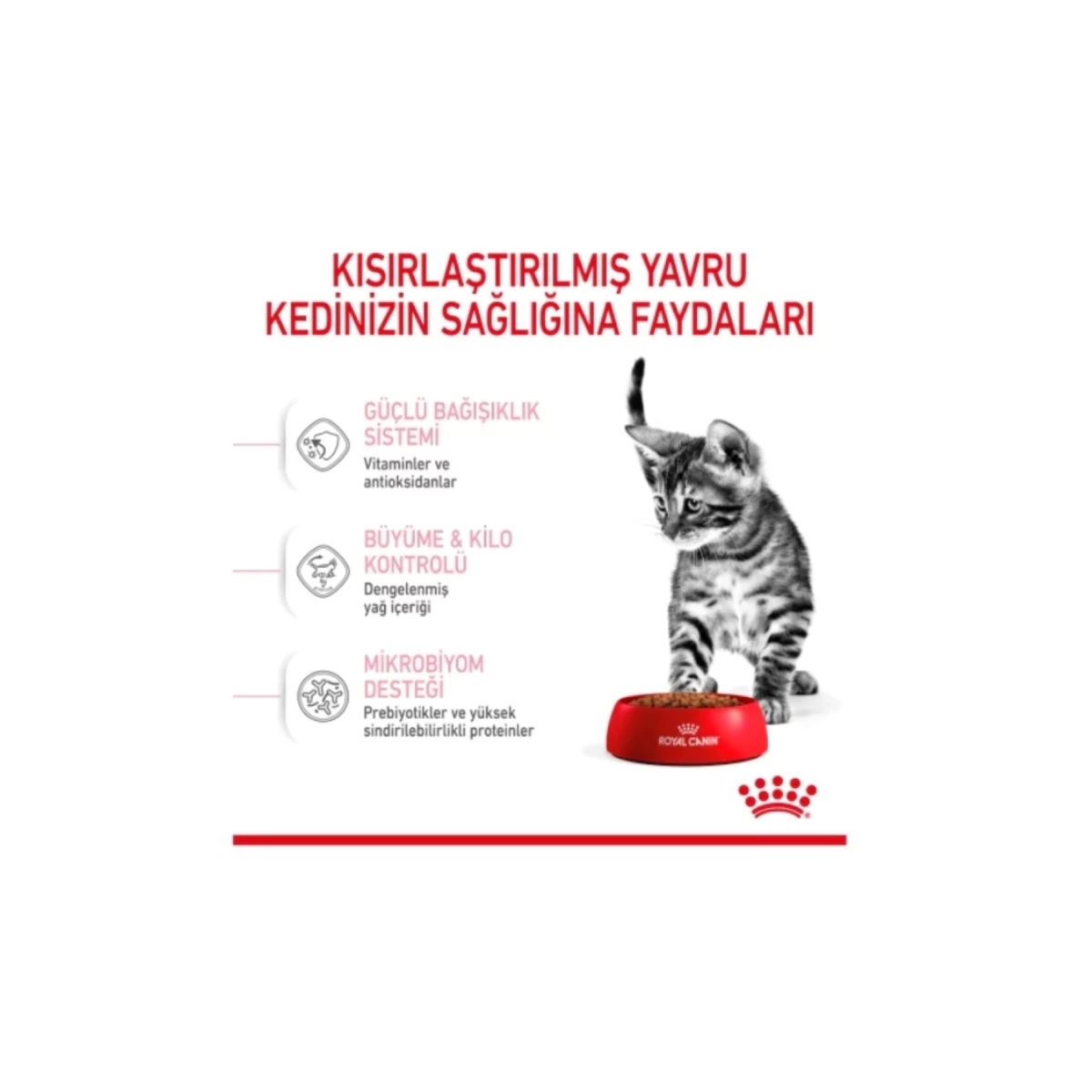 Royal Canin Kitten Sterilised Kısırlaştırılmış Yavru Kedi Maması 2 kg