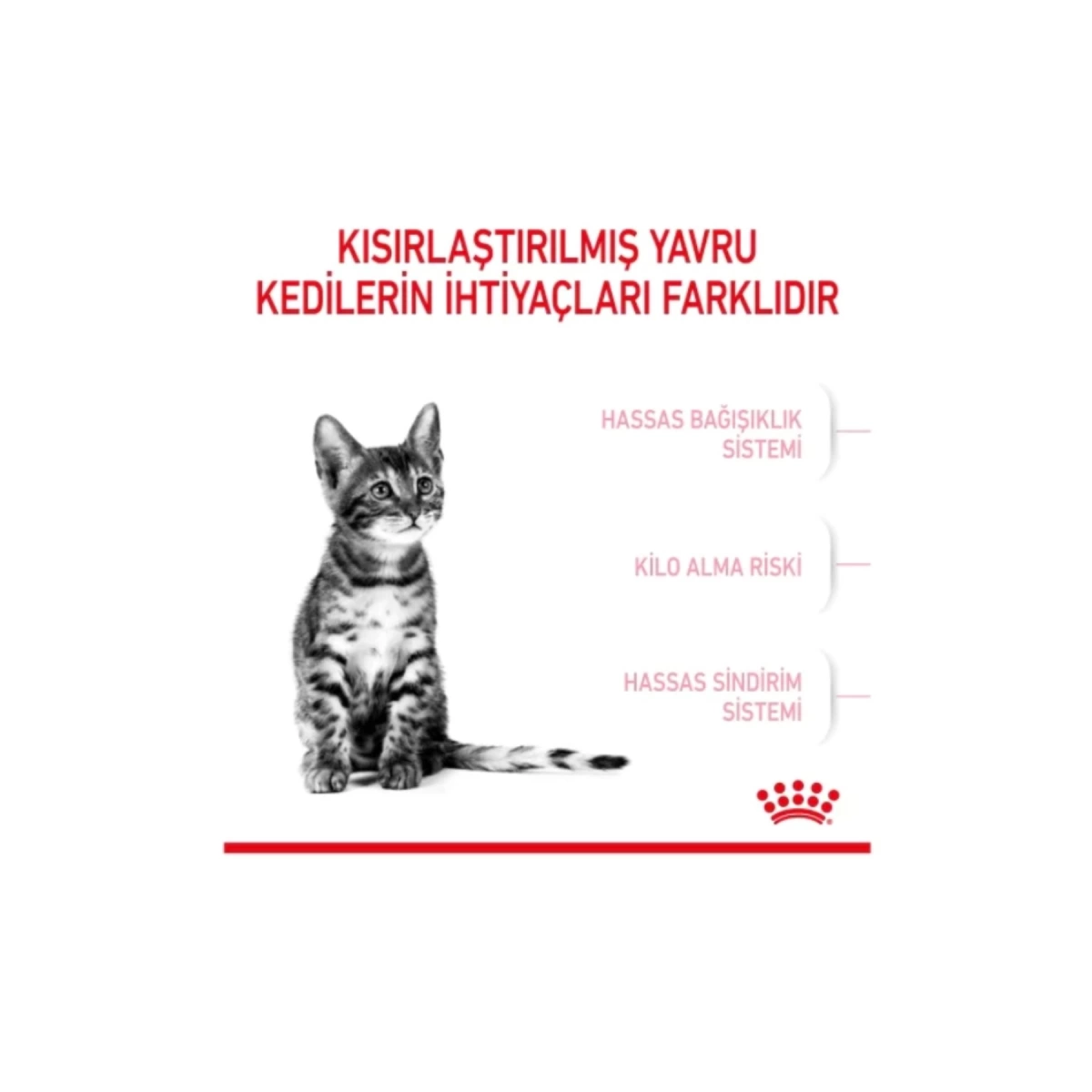 Royal Canin Kitten Sterilised Kısırlaştırılmış Yavru Kedi Maması 2 kg
