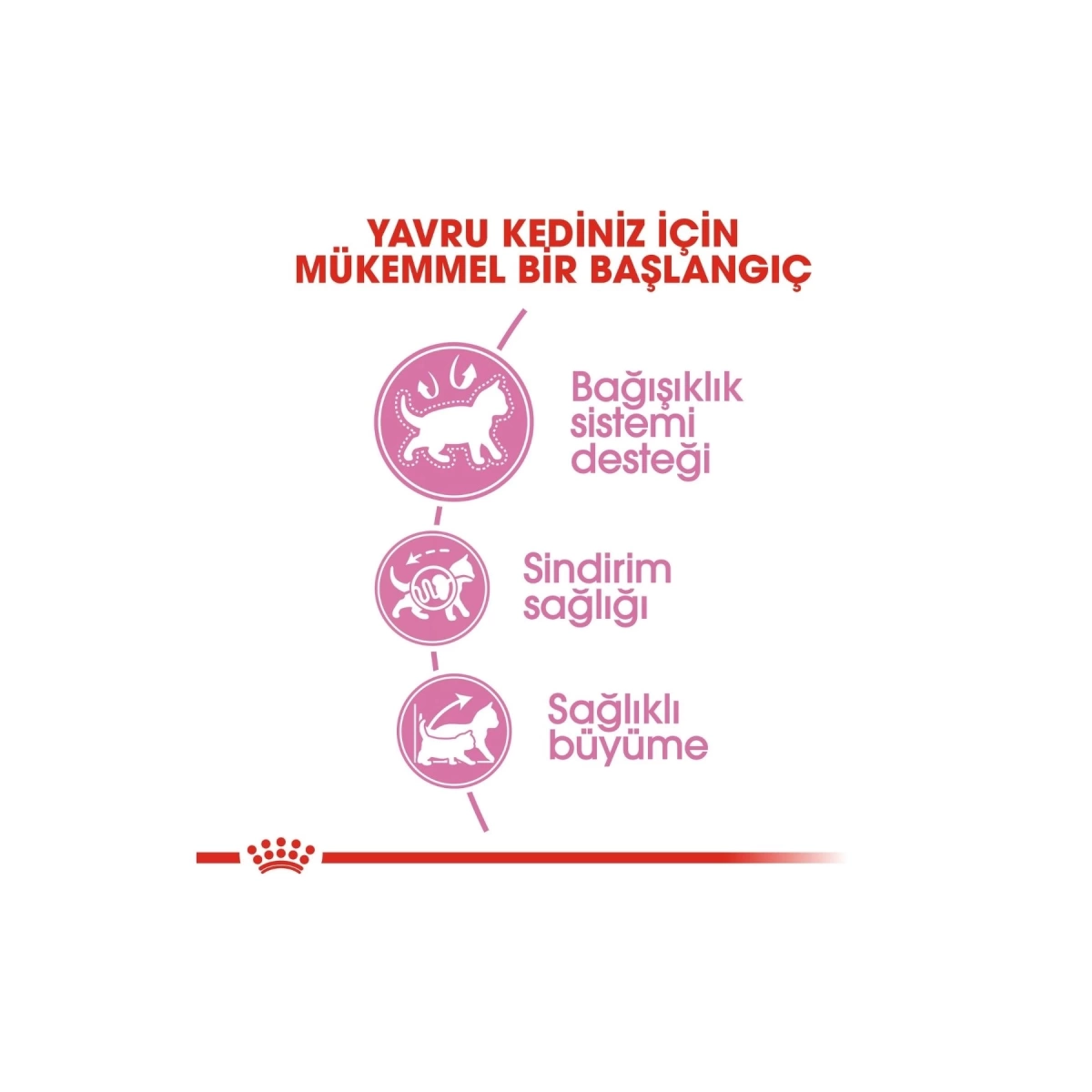 Royal Canin Kitten Yavru Kedi Maması 4 Kg