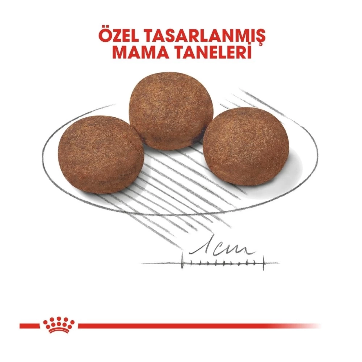 Royal Canin Medium Junior Orta Irk Yavru Köpek Maması 15 kg