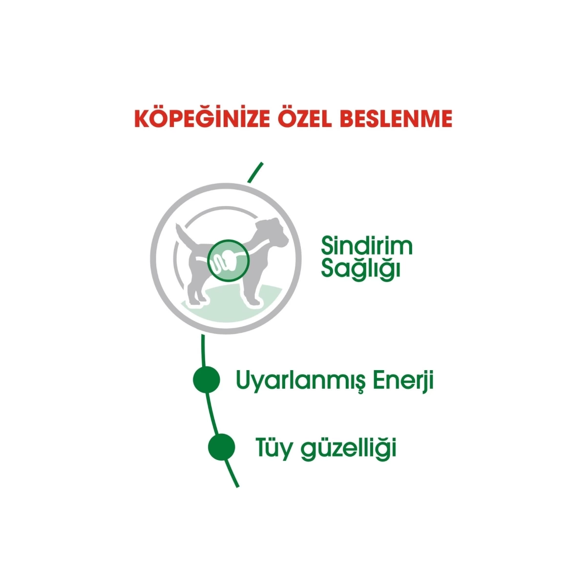 Royal Canin Mini Adult Yaş Köpek Maması 85 Gr x 12 Li