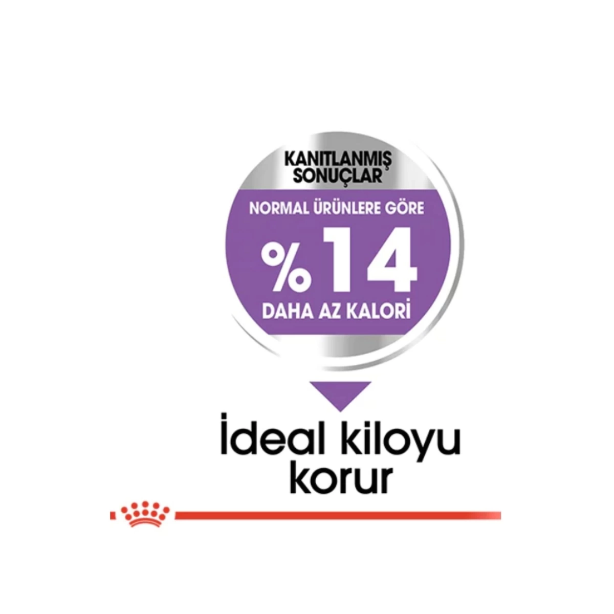 Royal Canin Mini Küçük Irk Kısırlaştırılmış Köpek Maması 3 Kg