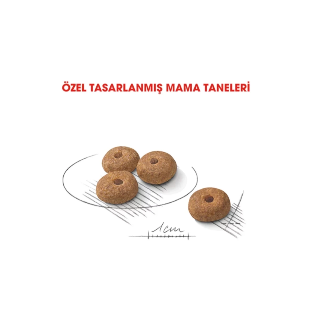Royal Canin Mini Küçük Irk Kısırlaştırılmış Köpek Maması 3 Kg
