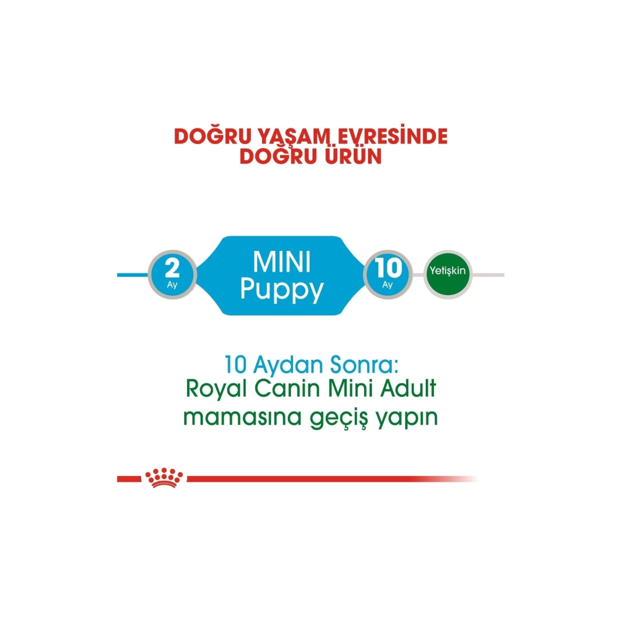 Royal Canin Mini Puppy Yaş Köpek Maması 85 Gr x 12 Li