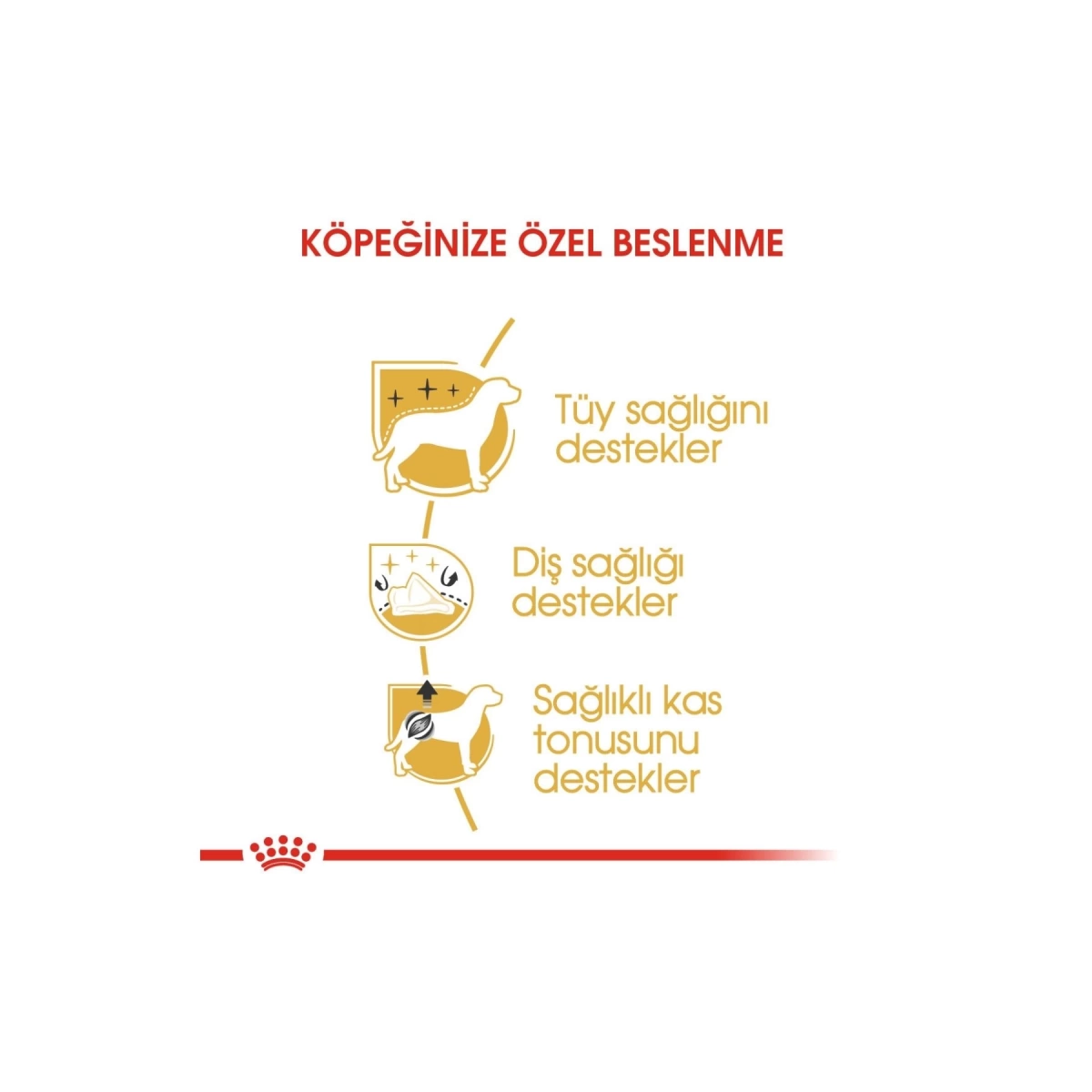 Royal Canin Poodle Yetişkin Köpek Maması 3 Kg