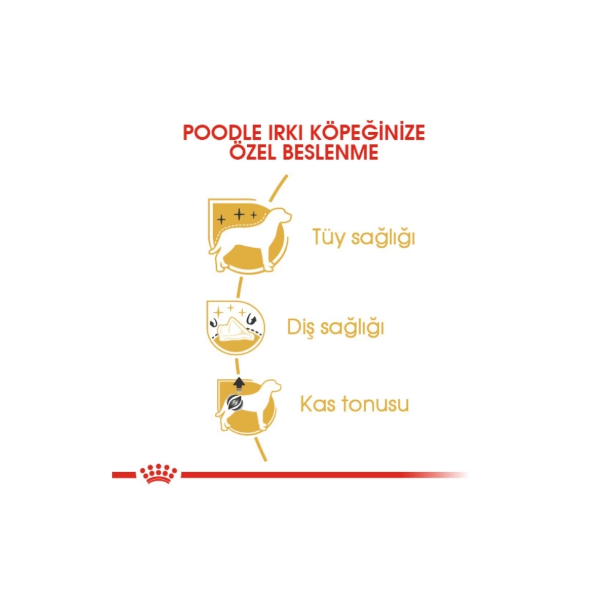 Royal Canin Poodle Yetişkin Köpek Maması 3 Kg