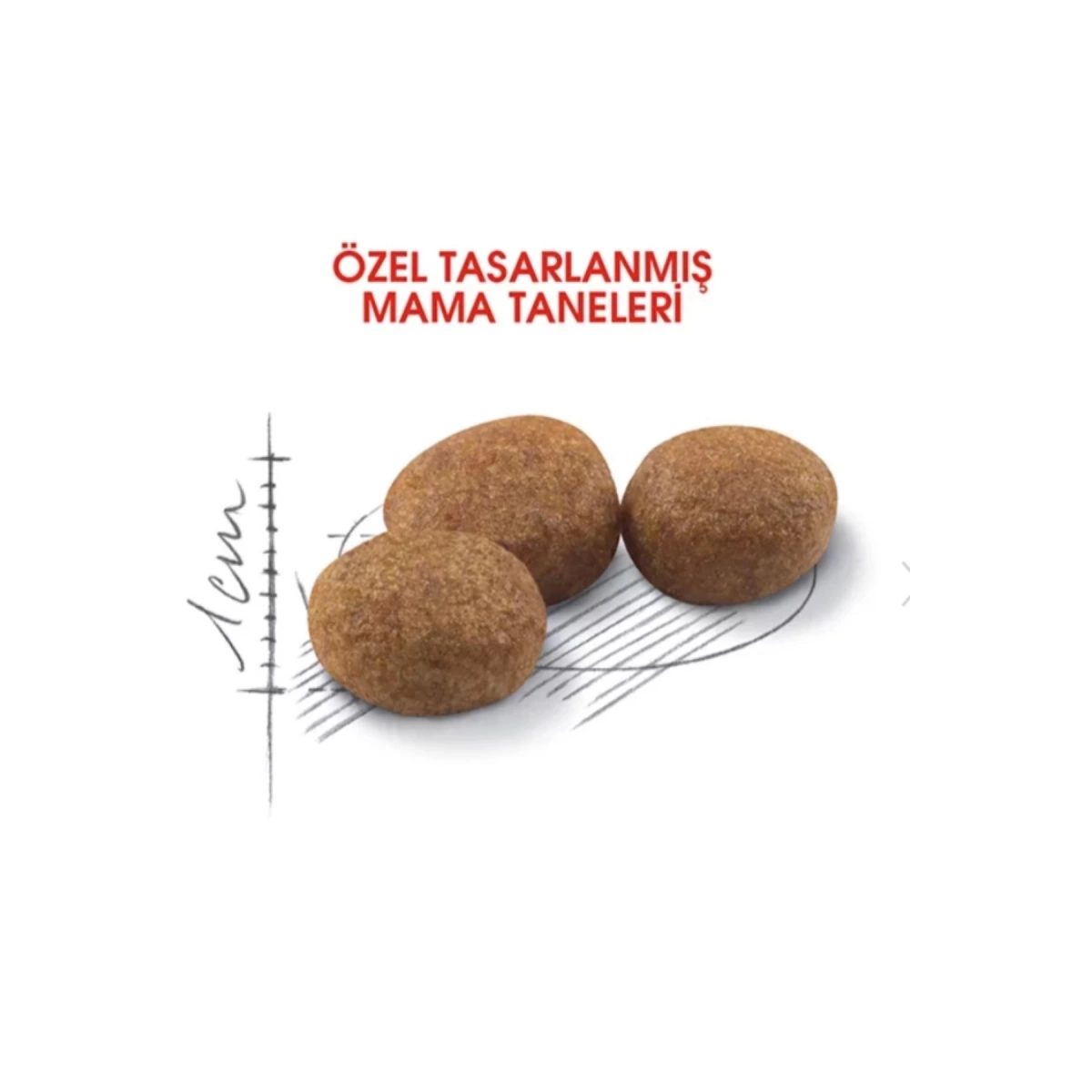 Royal Canin Sterilised 37 Kısırlaştırılmış Kedi Maması 10 Kg