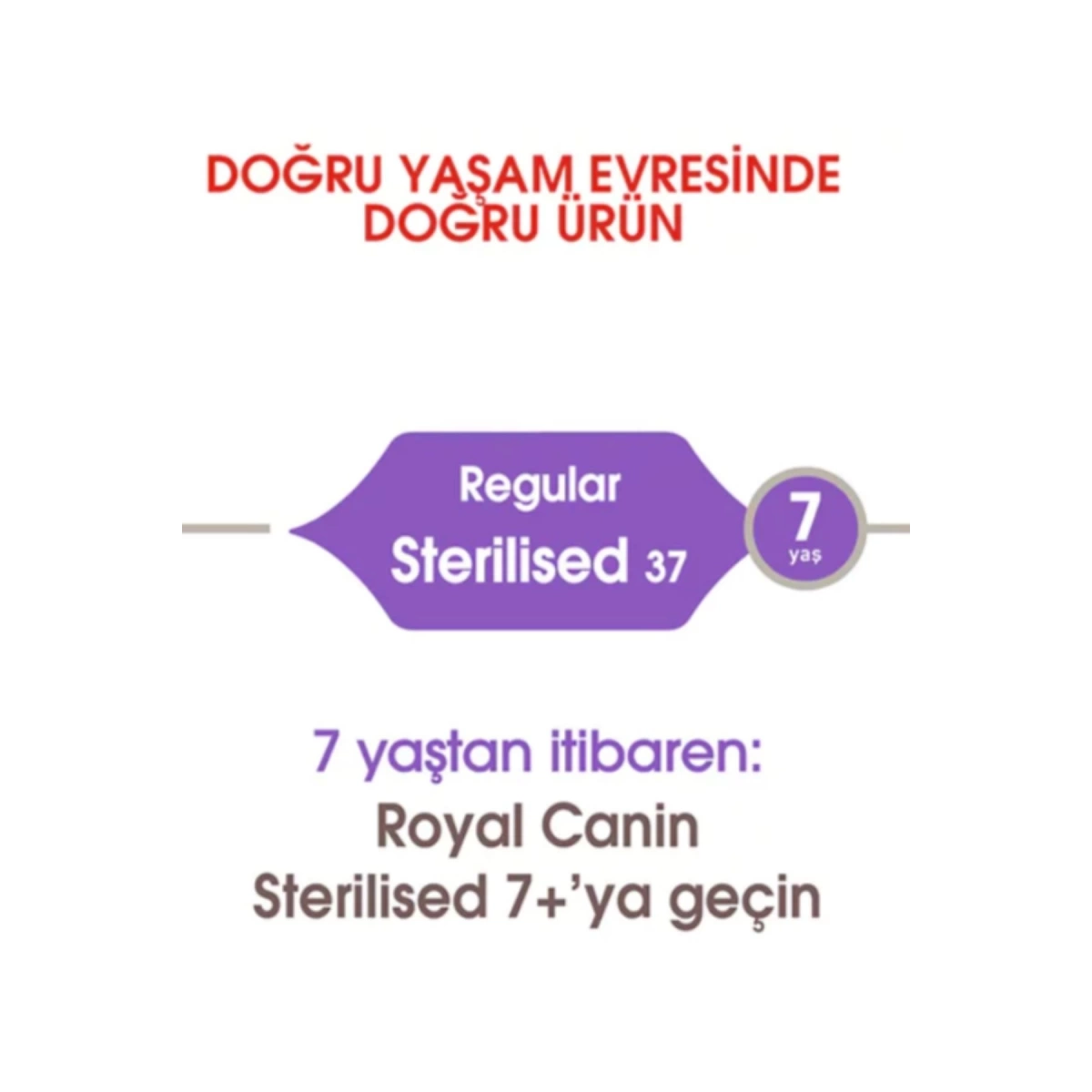 Royal Canin Sterilised 37 Kısırlaştırılmış Kedi Maması 10 Kg
