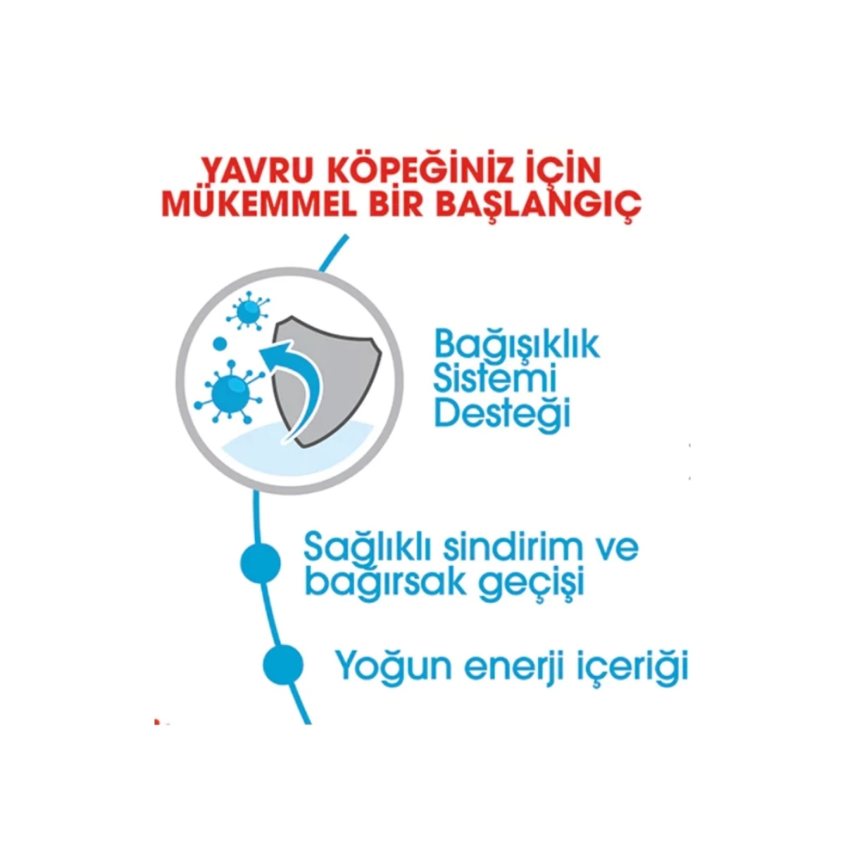 Royal Canin X-Small Küçük Irk Yavru Köpek Maması 3 kg