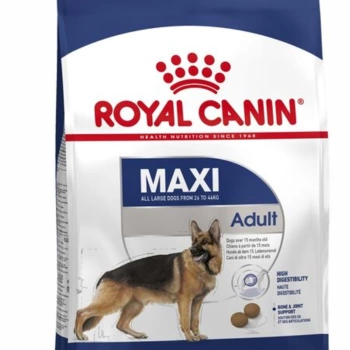 Royal Canin Maxi Adult Büyük Irk Yetişkin Köpek Maması 15kg