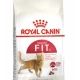 Royal Canin Fit 32 Yetişkin Kedi Maması 2 kg