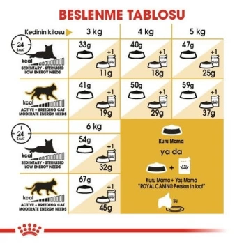 ROYAL CANİN Persian Yetişkin İran Kedi Maması 2KG