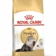 ROYAL CANİN Persian Yetişkin İran Kedi Maması 2KG