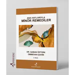 Ana Hatlarıyla Minör Remediler