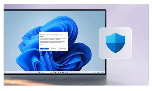 Windows 11 Pro OEM