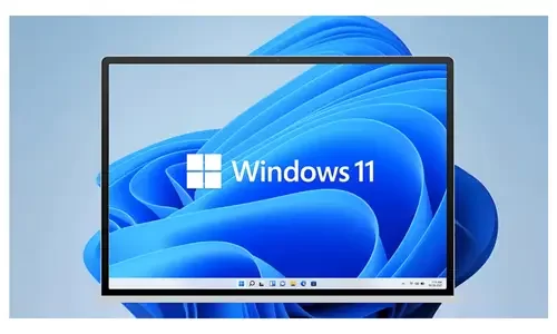 Windows 11 Pro OEM ürün anahtarı