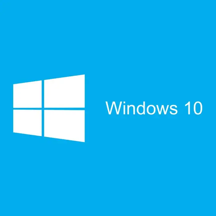 Windows 10 Pro OEM Lisans Key