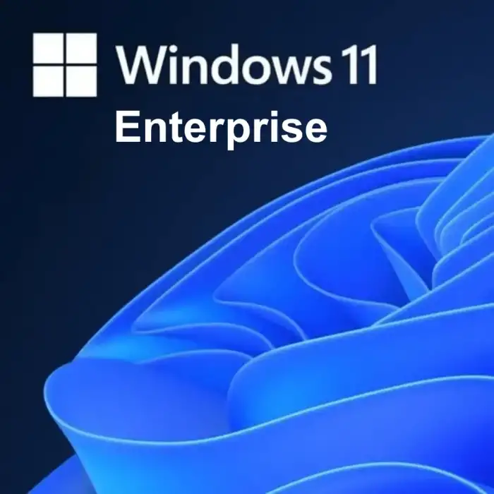 Windows 11 Enterprise Lisans Key