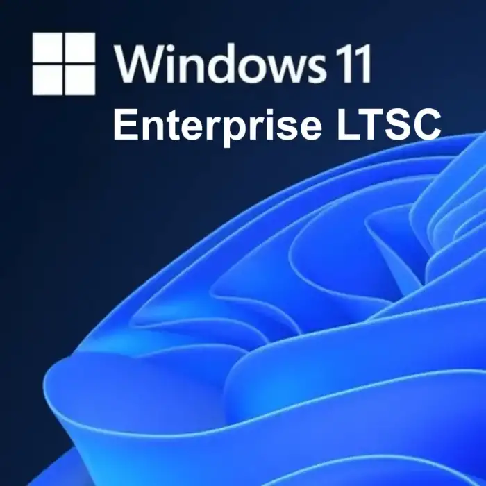 Windows 11 Enterprise LTSC 2024 Lisans Key