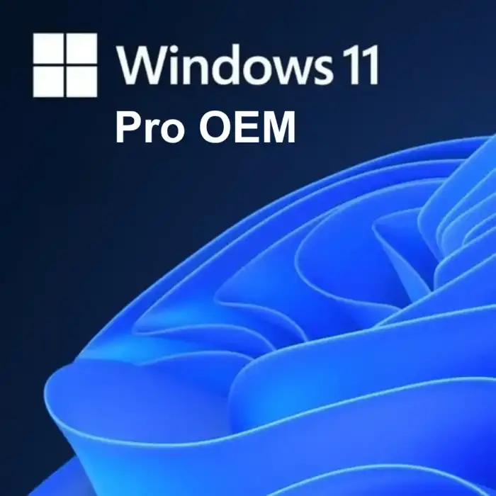 Windows 11 Pro OEM Lisans Key