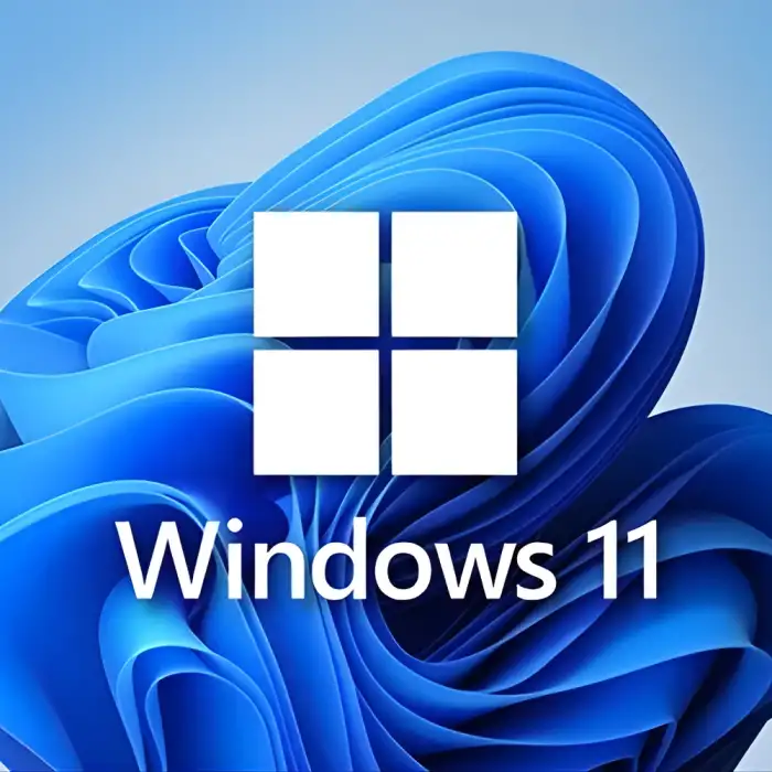 Windows 11 Pro Retail Lisans Key