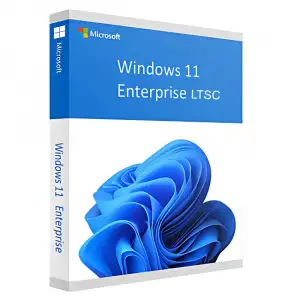 Windows 11 Enterprise LTSC 2024 Lisans Key