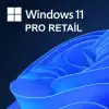 Windows 11 Pro Retail Lisans Key