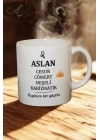 Aslan Burcu Temalı Burç Bardağı Kupa