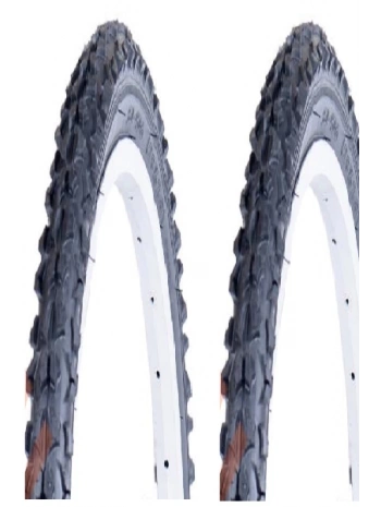 Duranta 20 Jant 20x2.00 D2019 Bisiklet Dış Lastiği Siyah X 2 Adet