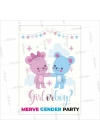 Gender Parti Afişi Kız Erkek Ayıcık Tema