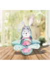 Sevimli Tavşan Uçak Temalı Doğumgünü Dekor Karakter Pano