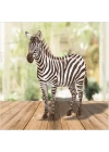 Zebra konsept Doğum Günü Karakter Pano