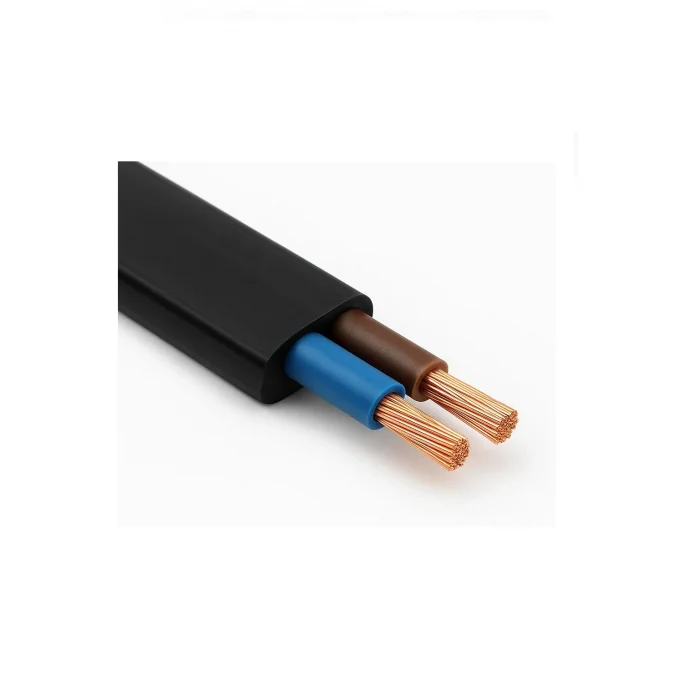 Fişli Arapuarlı Kablo (Yassı)- Anahtarlı (2X0,50) Siyah - 4 Metre