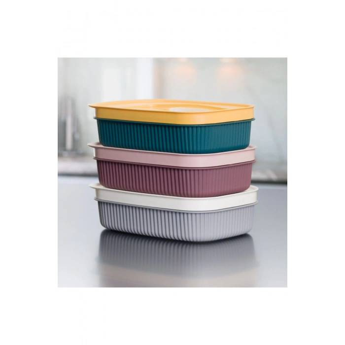 6 Adet  Özel Tasarım Kapaklı Shell Storage Box- Saklama Kabı - Kahvaltılık Seti - 600 ml