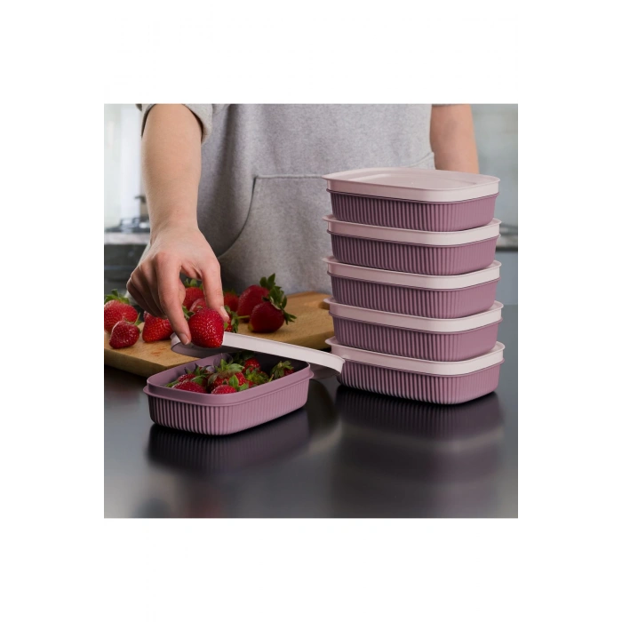 6 Adet  Özel Tasarım Kapaklı Shell Storage Box- Saklama Kabı - Kahvaltılık Seti - 600 ml