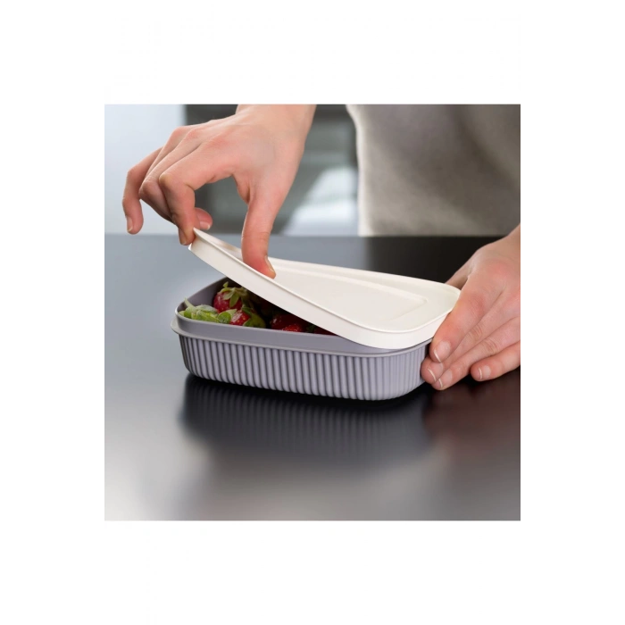 3 Adet  Özel Tasarım Kapaklı Shell Storage Box- Saklama Kabı - Kahvaltılık Seti - 600 ml